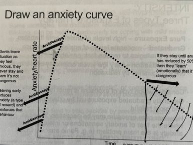 Health Anxiety Treatment